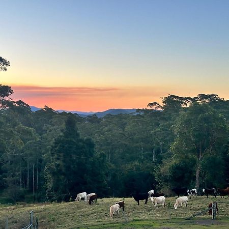 Whispering Valley Cottage Retreat Maleny Dış mekan fotoğraf