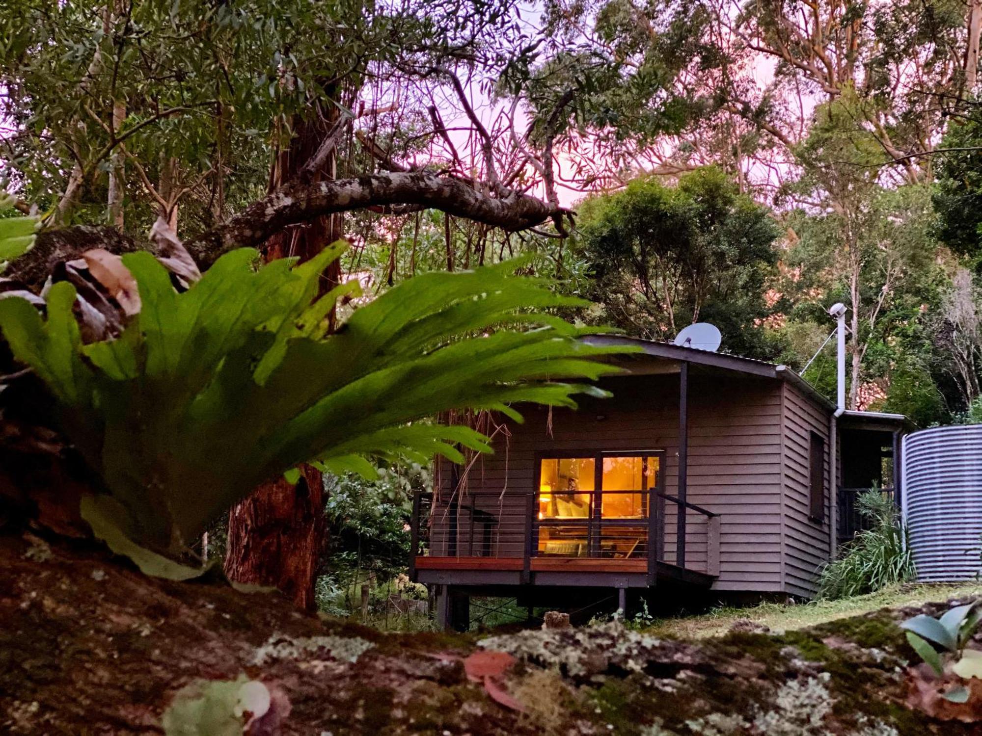 Whispering Valley Cottage Retreat Maleny Dış mekan fotoğraf