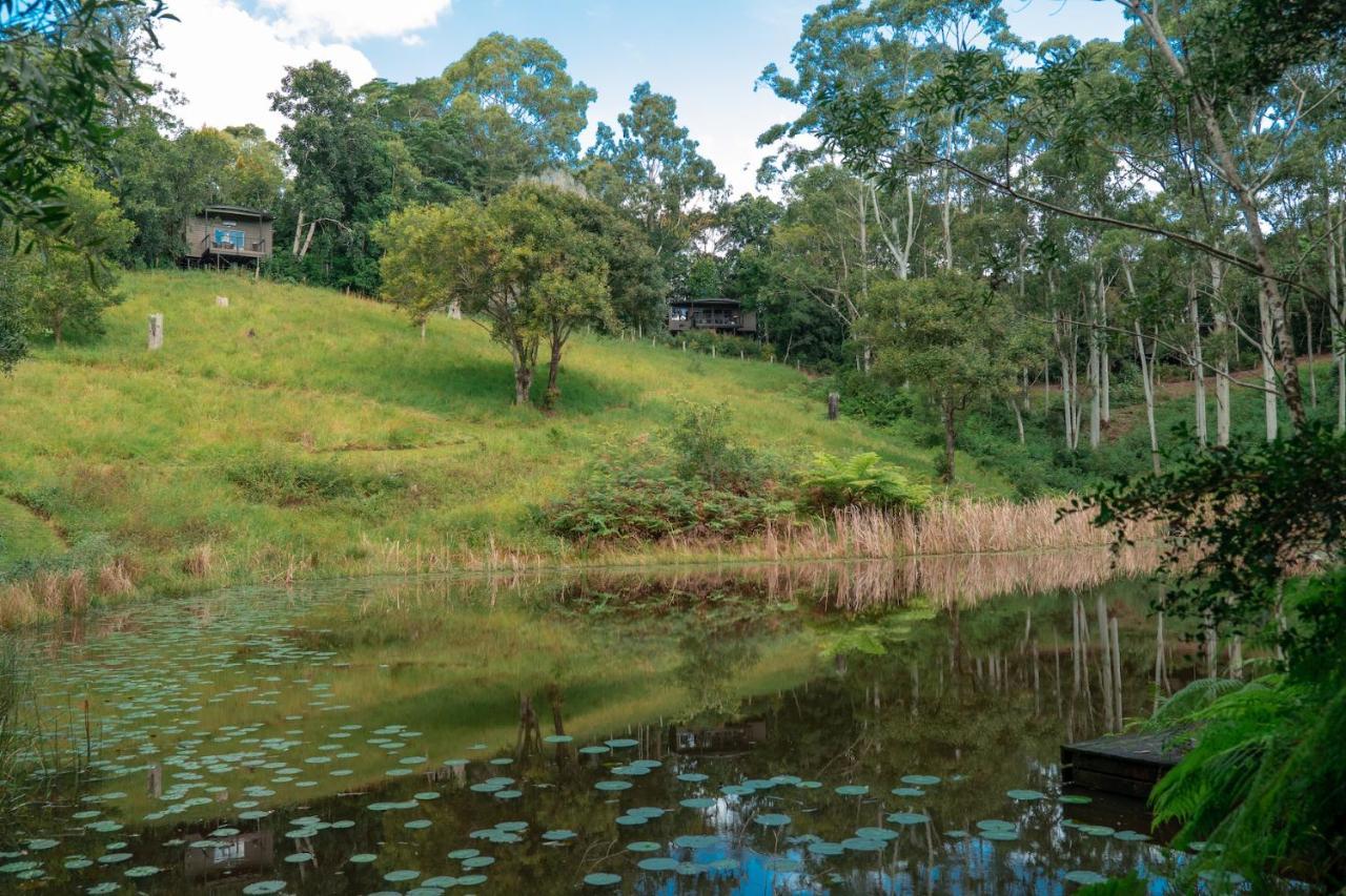 Whispering Valley Cottage Retreat Maleny Dış mekan fotoğraf