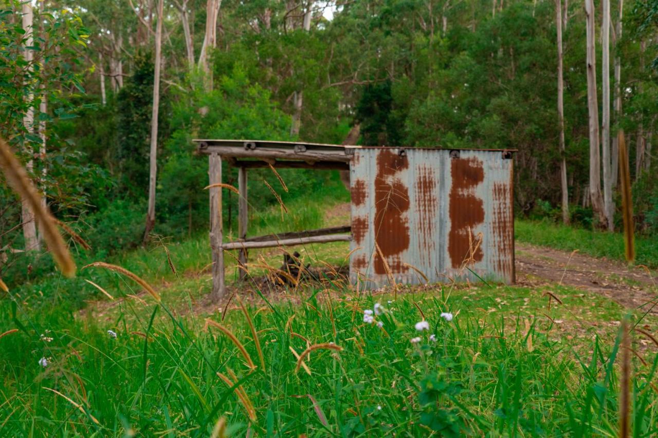 Whispering Valley Cottage Retreat Maleny Dış mekan fotoğraf