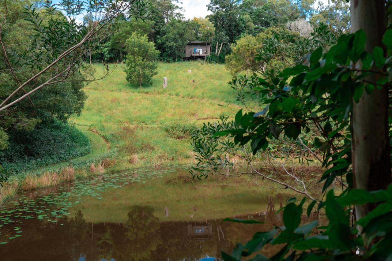 Whispering Valley Cottage Retreat Maleny Dış mekan fotoğraf