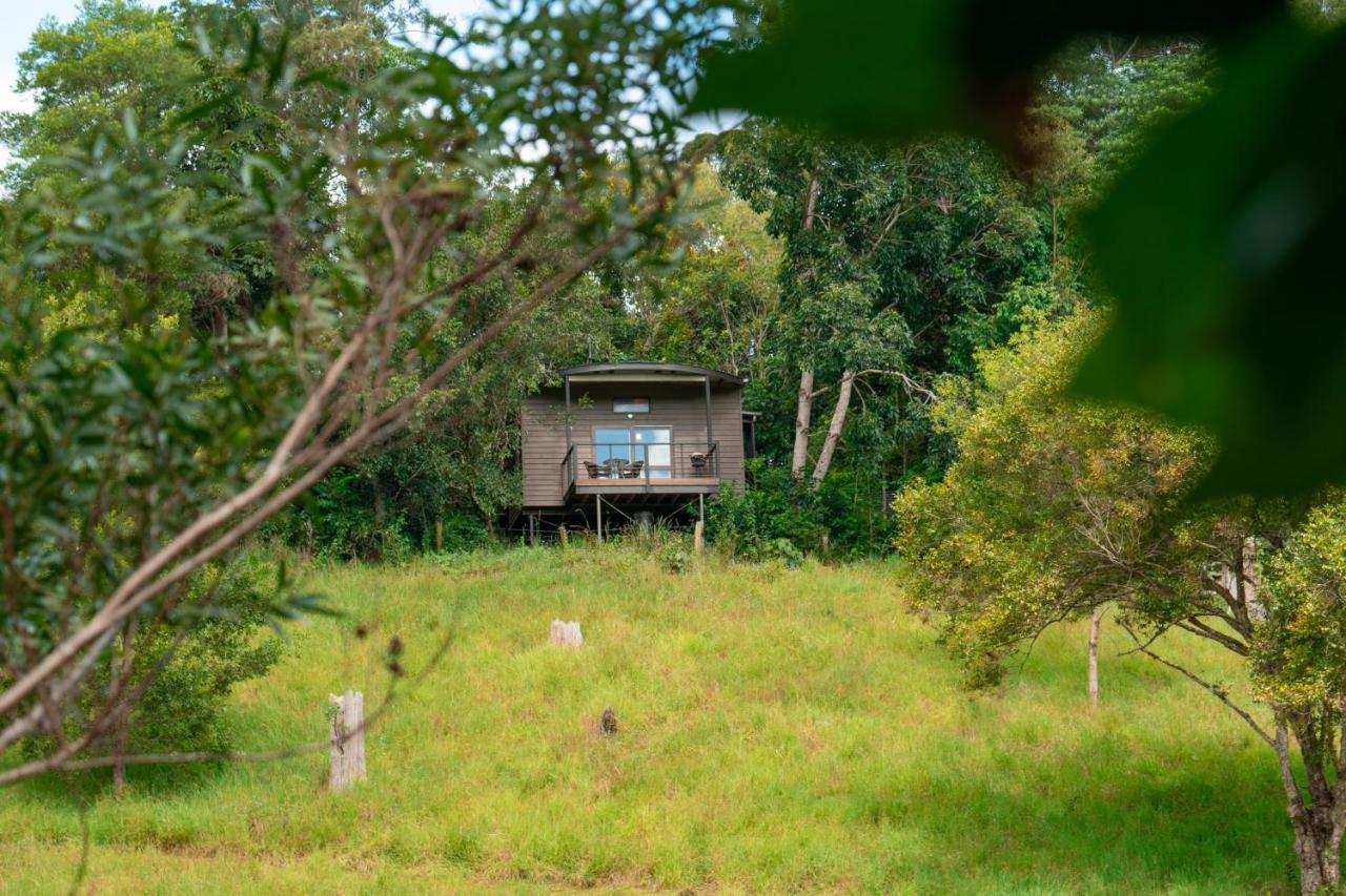 Whispering Valley Cottage Retreat Maleny Dış mekan fotoğraf