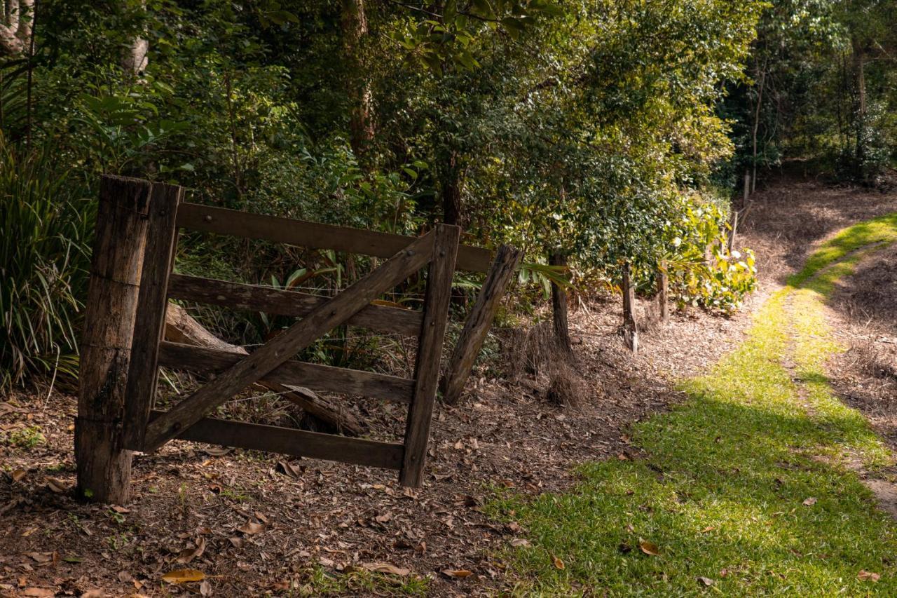 Whispering Valley Cottage Retreat Maleny Dış mekan fotoğraf
