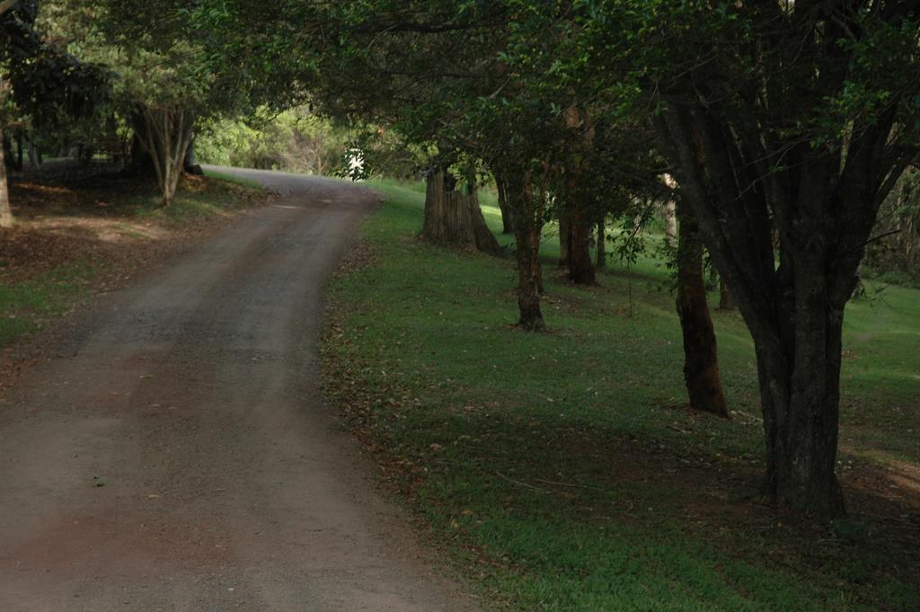 Whispering Valley Cottage Retreat Maleny Dış mekan fotoğraf