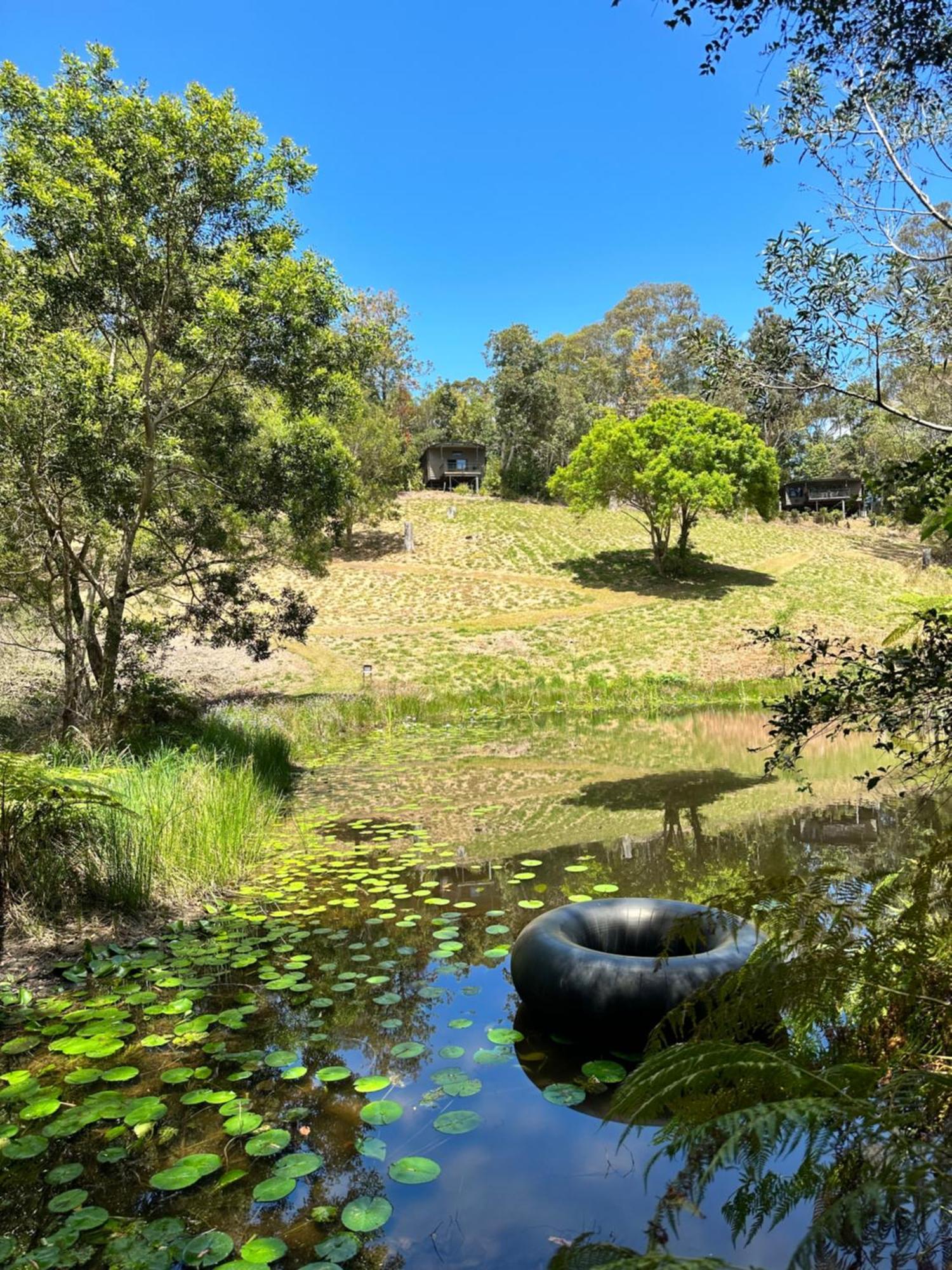 Whispering Valley Cottage Retreat Maleny Dış mekan fotoğraf