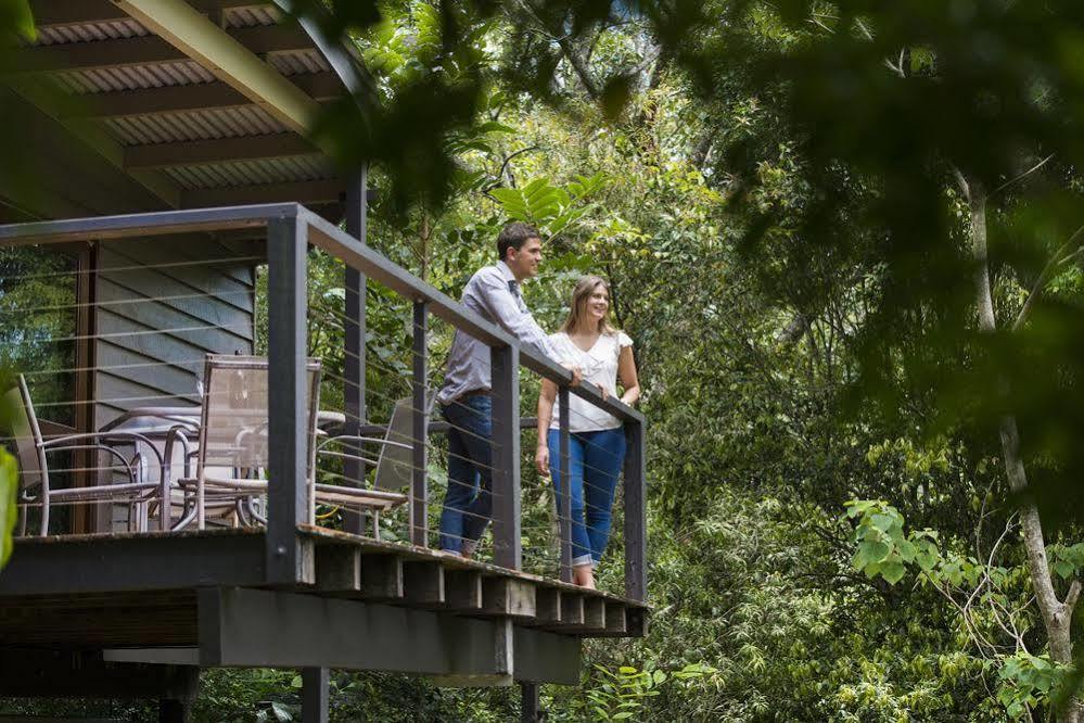 Whispering Valley Cottage Retreat Maleny Dış mekan fotoğraf